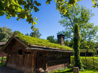 Fototapeta na wymiar Ancient Nordic House in Summer