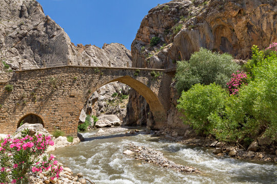 Ancient bridge known as Cendere Bridge near the Nemrut Mountain in Turkey.