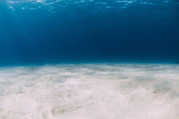 Tropical sea in the deep with white sand underwater at Canary islands