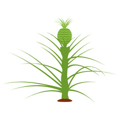 
Biannual tropical plant, ananas comosus icon
