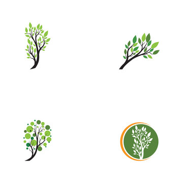 Tree Logo template vector icon