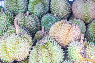 Naklejka na ściany i meble Lot of green durians fruits sale at market, selective focus