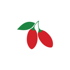 goji berry vector illustration