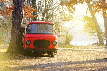 Vintage red bus stands in the autumn forest. Sunny day in fall. Warm weather in forest.