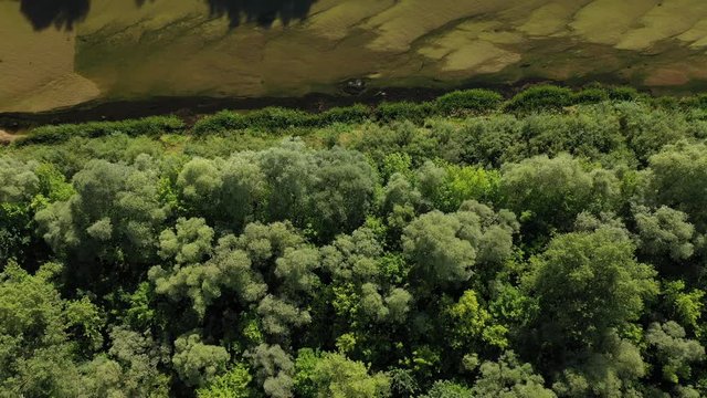 Aerial view of Baturyn castle with the Seim river in Chernigov region of Ukraine, Europe. Ancient wooden fortress. Wooden castle