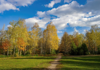 Fototapeta na wymiar Picturesque pathway through green meadow and yellowed grove in autumn park