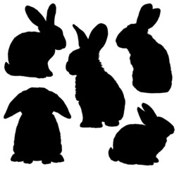 Obraz premium Five black silhouettes of cute rabbits sitting in various poses. Vector Illustrations.