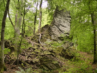 Fototapeta premium Felsen im Tal der 