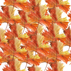 Seamless pattern illustration with autumn leaves  isolated on white background