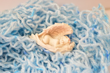 blue and yellow rose