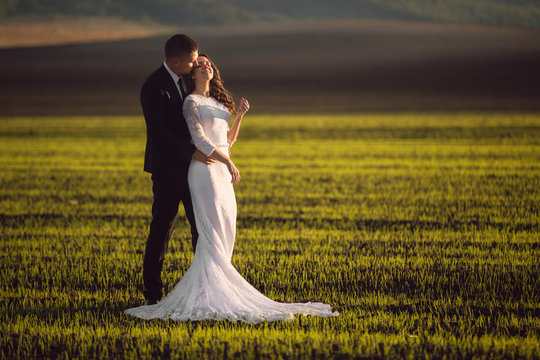 bride in the arms of the groom on a background of spring fields and blue sky. View from afar. marriage