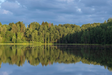 Reflection of trees in a forest lake at summer moring