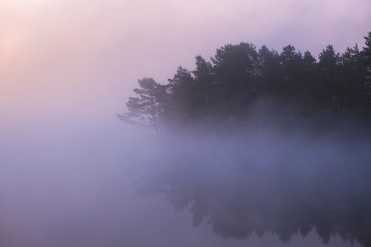 Foggy Morning On The Shore Of A Forest Lake In Early Autumn. Trees Drown In Blue Haze Until Dawn.