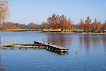 秋の水元公園