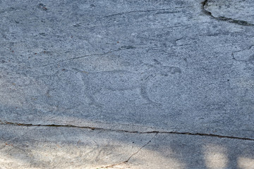 Elk carved on the rock. Neolithic petroglyphs of Kanozero. Kola Peninsula, Murmansk Oblast, Russia.