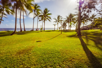 palm trees at sunset, Grand’Anse, Reunion island 