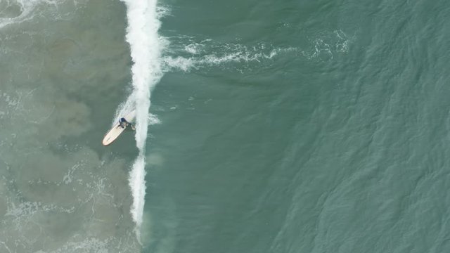 Surfergirl catches a wave at Zuma Beach California.