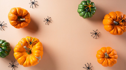 Halloween decorations made from pumpkin and black spider on pastel orange background. Flat lay, top view with copy space for text.