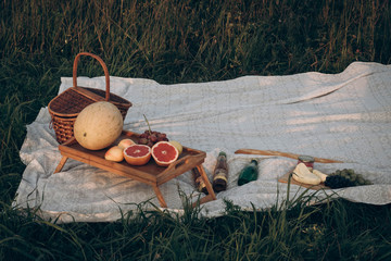 Picnic set with fruit, cheese, baguette, honey with wicker basket and blanket. Beautiful summer background with products in nature