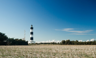 Fototapeta na wymiar Lighthouse with blue sky and dry field during summer in chassiron, Oleron Island, France.