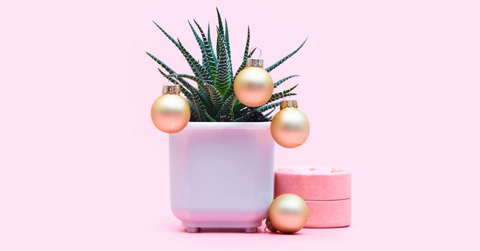 aloe concept with christmas balls on a pastel pink background, copy space