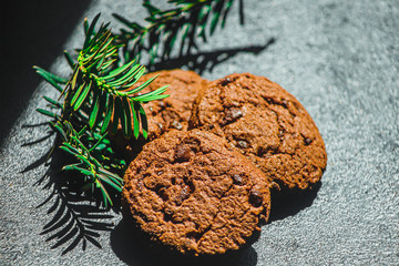 christmas cookies with chocolate coniferous branch on the table horizontal orientation