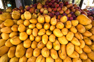 Mangos.Zitácuaro. Estado de Michoacán.Mexico.