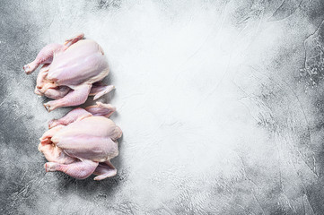 Organic farm raw whole chicken. White background. Top view. Copy space