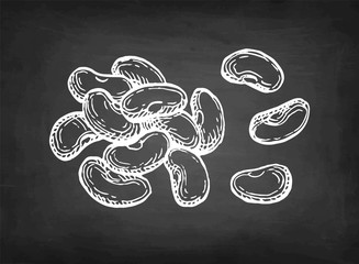 Chalk sketch of common bean