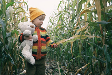 Cute toddler kid with his friend toy taddy bear exploring nature together. Small child playing in autumn corn field. Touching nature.
