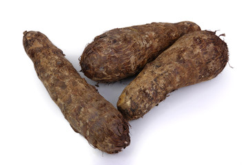 The starchy Yucca root isolated on a white ground  (cassava)