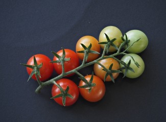 Tomaten in Rot, Gelb, Gr&uuml;n