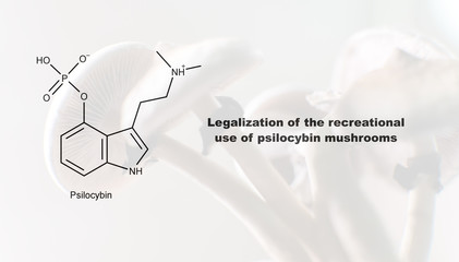 Legalization of the recreational use of psilocybin mushrooms, psilocybin and its effect on the human body