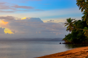 tropical beach with palm trees bathed in warm sunset glow