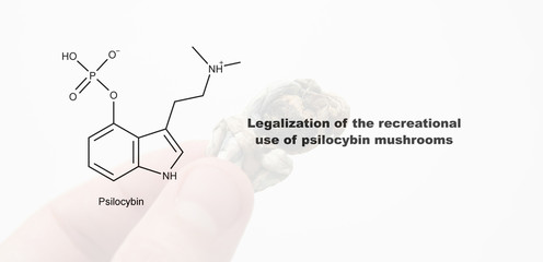 Legalization of the recreational use of psilocybin mushrooms, psilocybin and its effect on the human body