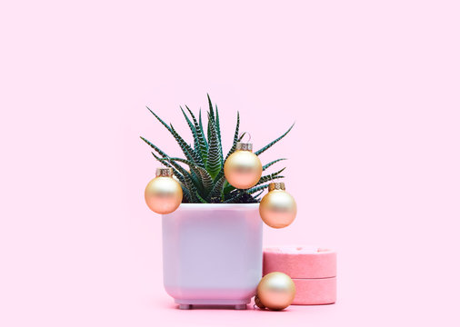 aloe concept with christmas balls on a pastel pink background, copy space