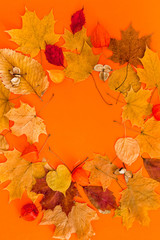 Dry leaves wreath frame on orange color background