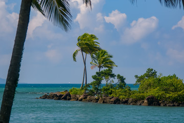 Fototapeta na wymiar tropical rocky island with palm trees