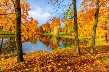 Alexander park in autumn foliage, Pushkin (Tsarskoe Selo), St. Petersburg, Russia