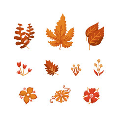 Autumn Leaves pack