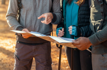 Cropped of friends with backpacks looking at map in forest