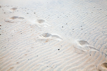 person walking along