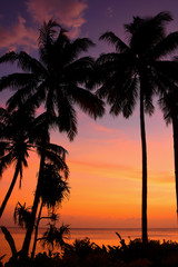 Fototapeta na wymiar Tropical Beqa Island Sunset