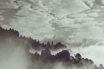 Mystical mysterious fog in the mountains