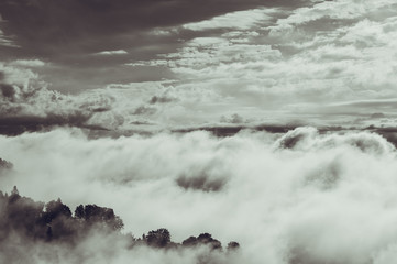 Fog in the mountain forests
