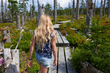 Child girl walking barefoot along a wooden walkway in a peat bog around a lake  Latschensee....