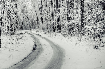 Deserted road through the winter forest
