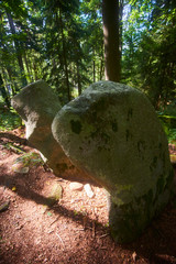 Ancient menhir hidden in the woods of Javornik mounth, Czech Republic
