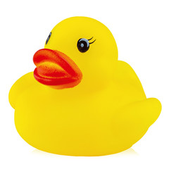 Yellow rubber duck isolated on white background.