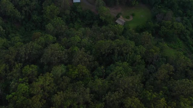 Birdseye drone shot of amazing green trees upon hills in the Blue Mountains in Australia